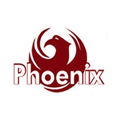 Phoenix – Antiguidades e Leilões